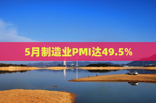 5月制造业PMI达49.5%  第1张