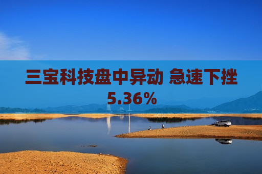 三宝科技盘中异动 急速下挫5.36%  第1张