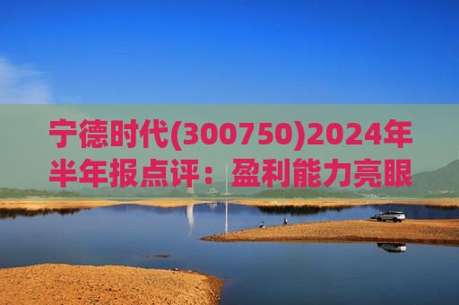 宁德时代(300750)2024年半年报点评：盈利能力亮眼 海外储能高增  第1张