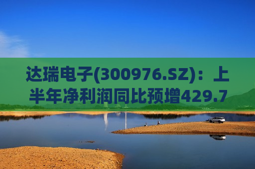 达瑞电子(300976.SZ)：上半年净利润同比预增429.76%-532.29%  第1张