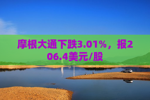 摩根大通下跌3.01%，报206.4美元/股