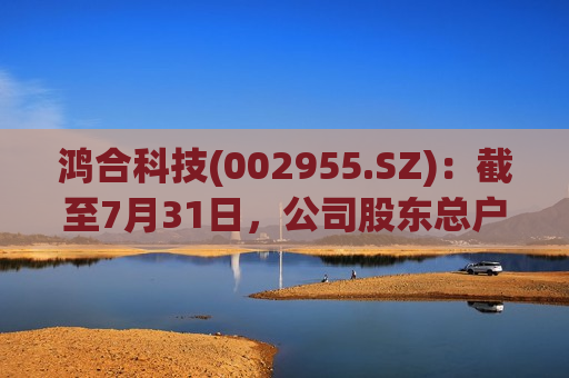 鸿合科技(002955.SZ)：截至7月31日，公司股东总户数为15728户  第1张