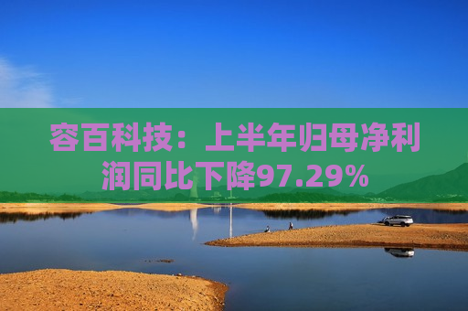 容百科技：上半年归母净利润同比下降97.29%  第1张