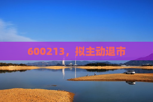 600213，拟主动退市