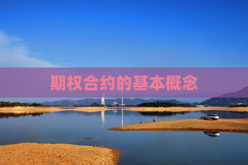 期权合约的基本概念