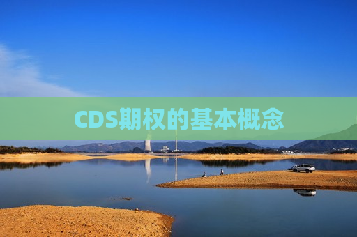 CDS期权的基本概念