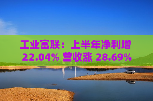 工业富联：上半年净利增 22.04% 营收涨 28.69%  第1张