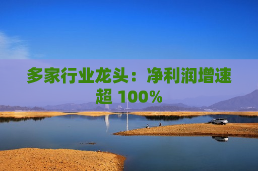 多家行业龙头：净利润增速超 100%