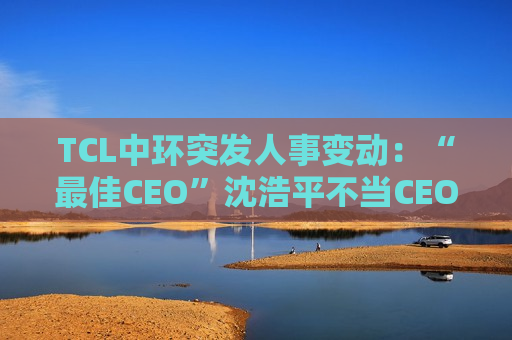 TCL中环突发人事变动：“最佳CEO”沈浩平不当CEO了