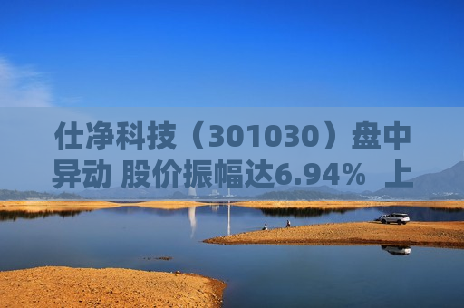 仕净科技（301030）盘中异动 股价振幅达6.94%  上涨5.63%（07-31） 第1张