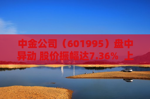 中金公司（601995）盘中异动 股价振幅达7.36%  上涨6.86%（07-31）