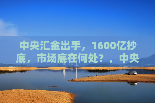 中央汇金出手，1600亿抄底，市场底在何处？，中央汇金大手笔抄底，千亿资金涌入市场，股市底部究竟在哪里？  第1张