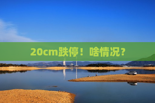 20cm跌停！啥情况？  第1张