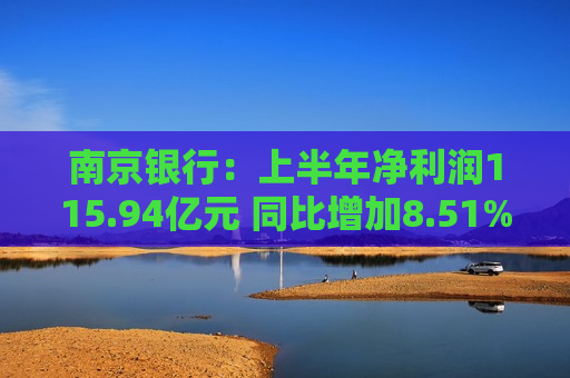 南京银行：上半年净利润115.94亿元 同比增加8.51%  第1张