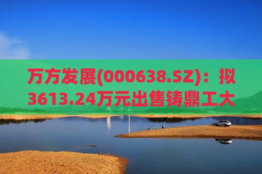 万方发展(000638.SZ)：拟3613.24万元出售铸鼎工大37.64%股权