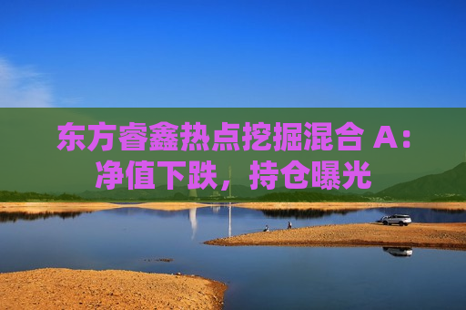 东方睿鑫热点挖掘混合 A：净值下跌，持仓曝光  第1张