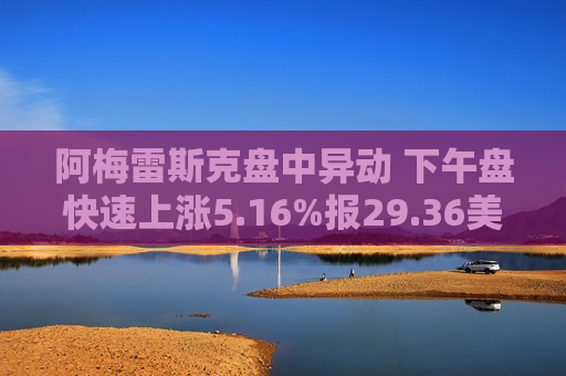 阿梅雷斯克盘中异动 下午盘快速上涨5.16%报29.36美元  第1张