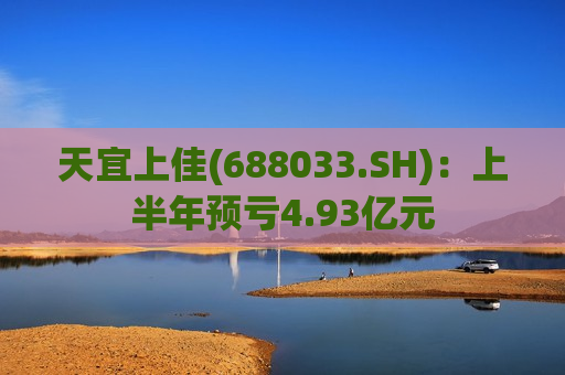 天宜上佳(688033.SH)：上半年预亏4.93亿元