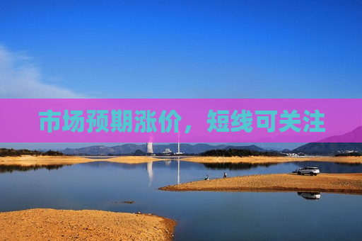 市场预期涨价，短线可关注  第1张