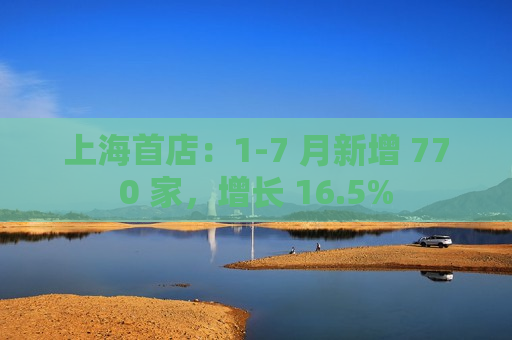 上海首店：1-7 月新增 770 家，增长 16.5%