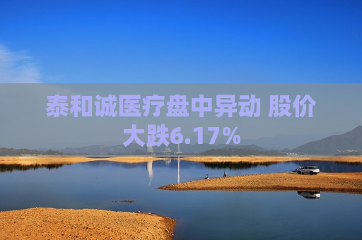 泰和诚医疗盘中异动 股价大跌6.17%