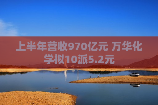 上半年营收970亿元 万华化学拟10派5.2元