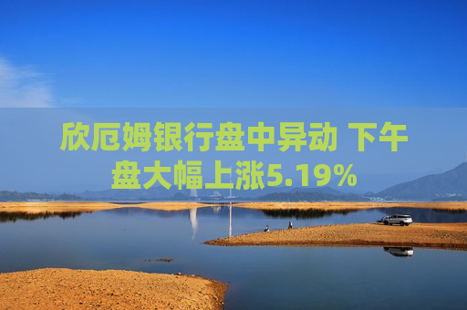 欣厄姆银行盘中异动 下午盘大幅上涨5.19%  第1张