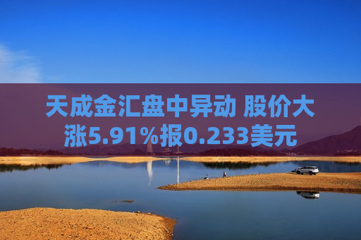 天成金汇盘中异动 股价大涨5.91%报0.233美元