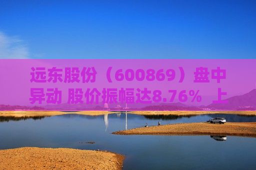 远东股份（600869）盘中异动 股价振幅达8.76%  上涨7.91%（08-16）