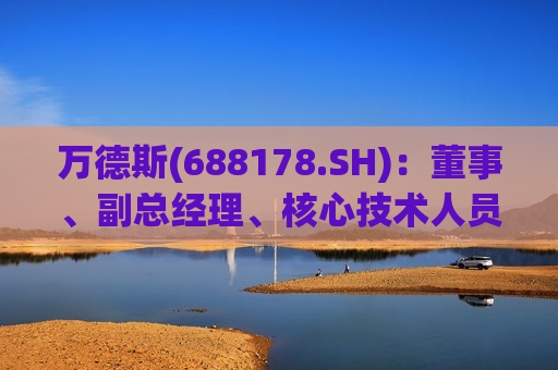 万德斯(688178.SH)：董事、副总经理、核心技术人员宫建瑞被取保候审