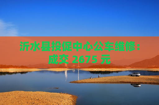 沂水县投促中心公车维修：成交 2675 元  第1张