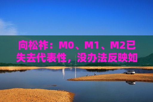 向松祚：M0、M1、M2已失去代表性，没办法反映如今的经济活动