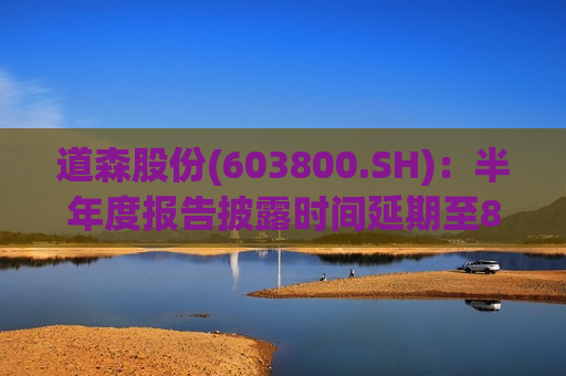 道森股份(603800.SH)：半年度报告披露时间延期至8月28日  第1张