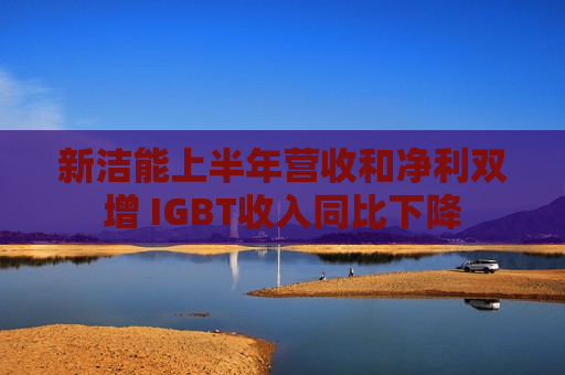 新洁能上半年营收和净利双增 IGBT收入同比下降  第1张