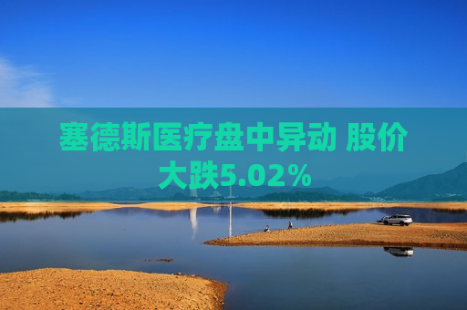 塞德斯医疗盘中异动 股价大跌5.02%  第1张