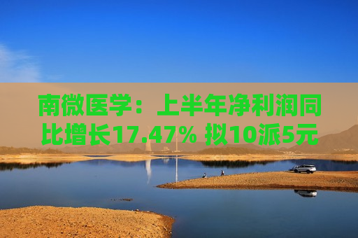 南微医学：上半年净利润同比增长17.47% 拟10派5元  第1张