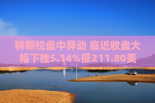 特斯拉盘中异动 临近收盘大幅下挫5.14%报211.80美元  第1张