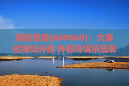 海信视像(600060)：大屏化持续升级 外部环境承压影响利润