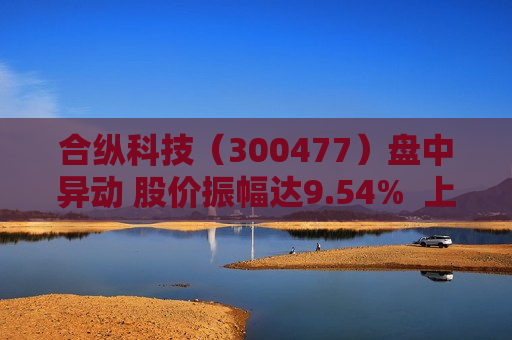 合纵科技（300477）盘中异动 股价振幅达9.54%  上涨7.05%（08-19）