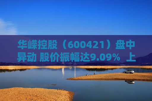 华嵘控股（600421）盘中异动 股价振幅达9.09%  上涨6.94%（08-19）