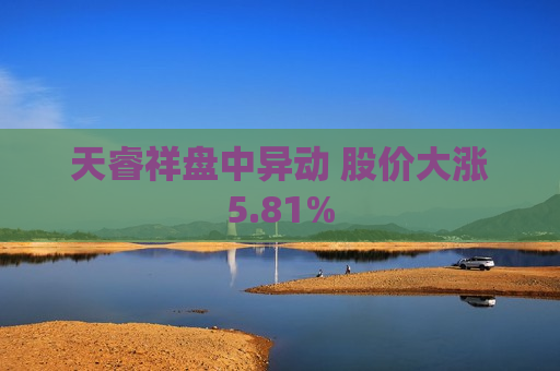 天睿祥盘中异动 股价大涨5.81%