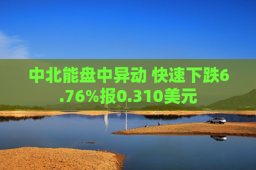 中北能盘中异动 快速下跌6.76%报0.310美元  第1张