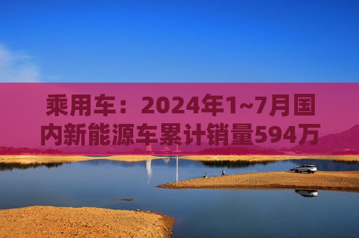 乘用车：2024年1~7月国内新能源车累计销量594万辆，同比增长30%以上