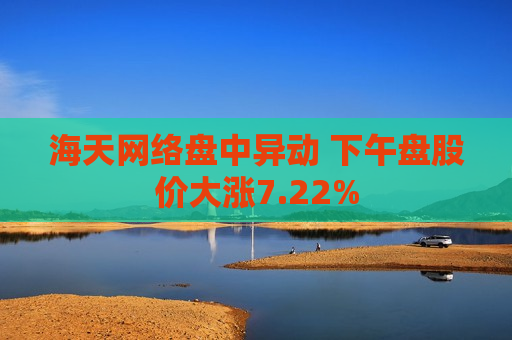 海天网络盘中异动 下午盘股价大涨7.22%