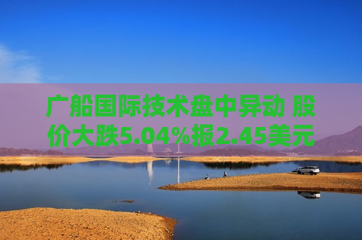 广船国际技术盘中异动 股价大跌5.04%报2.45美元