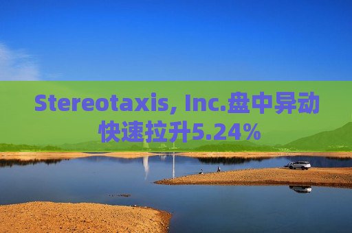 Stereotaxis, Inc.盘中异动 快速拉升5.24%