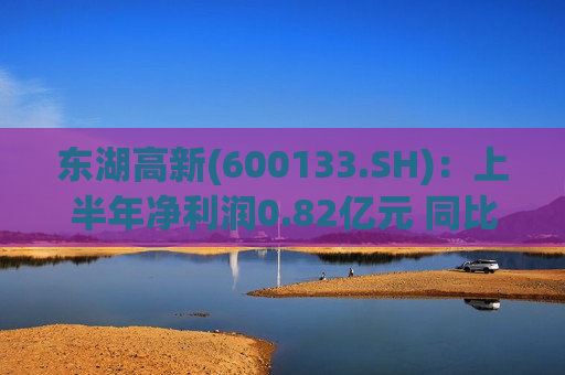 东湖高新(600133.SH)：上半年净利润0.82亿元 同比下降19.91%  第1张