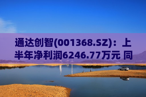 通达创智(001368.SZ)：上半年净利润6246.77万元 同比增长13.35%  第1张