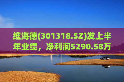 维海德(301318.SZ)发上半年业绩，净利润5290.58万元，同比增长14.41%