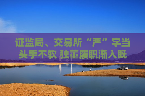 证监局、交易所“严”字当头手不软 独董履职渐入既“独”又“懂”新境界  第1张